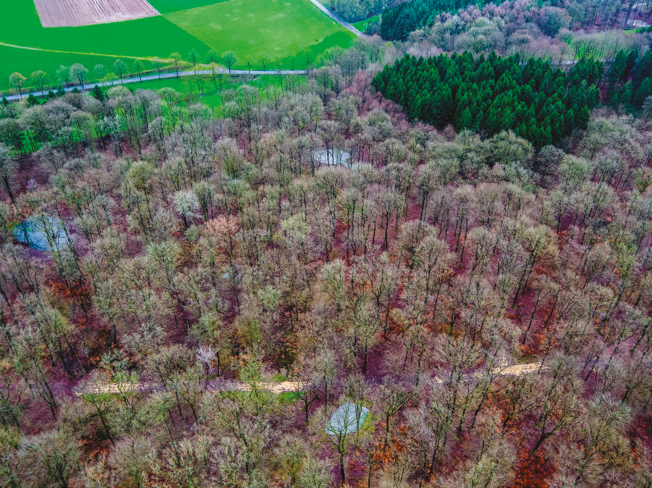 3 Cimetière forestier à Waldredimus LUXPLAN S.A.