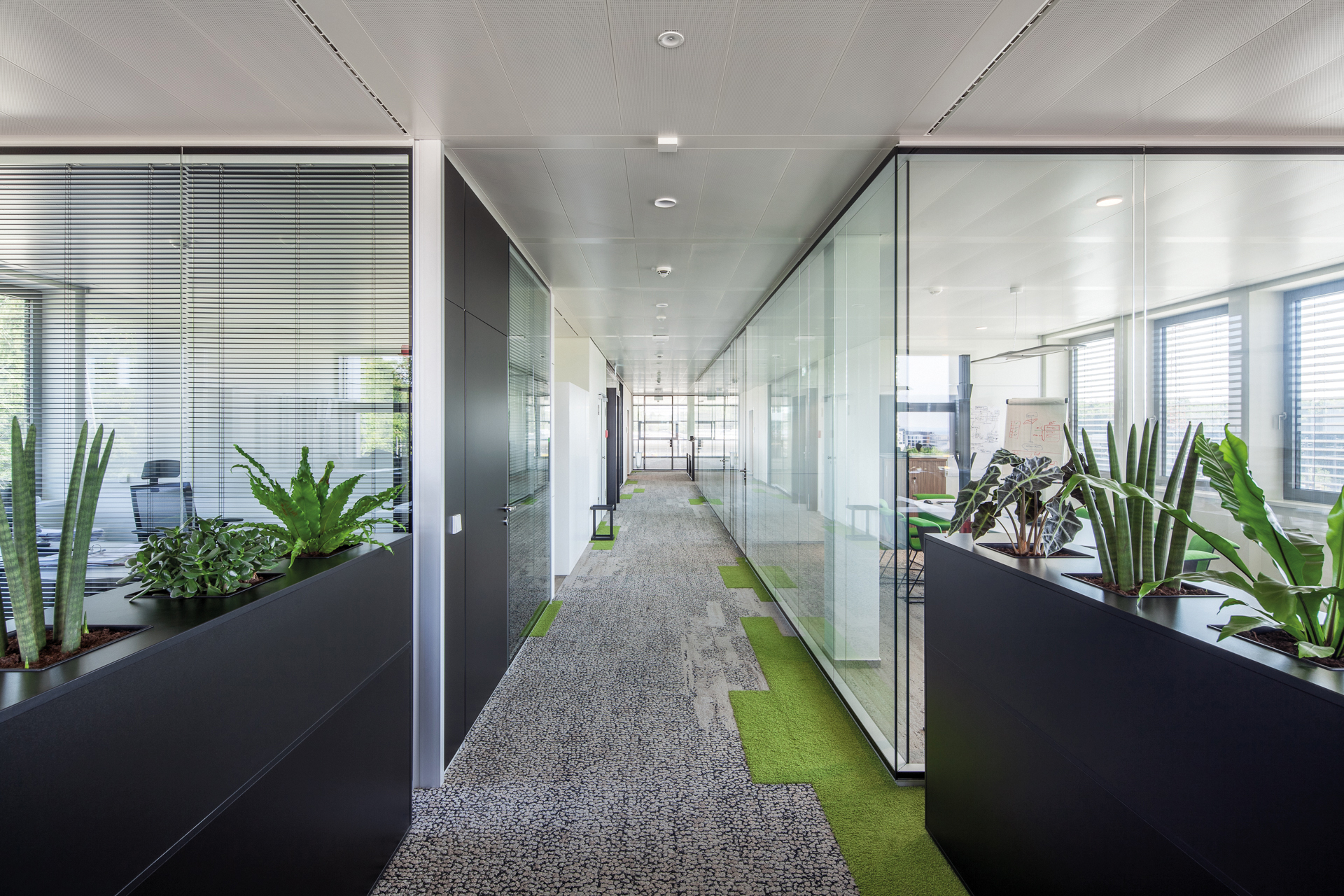 4-8 Luxtram FORUM AI S.A.
